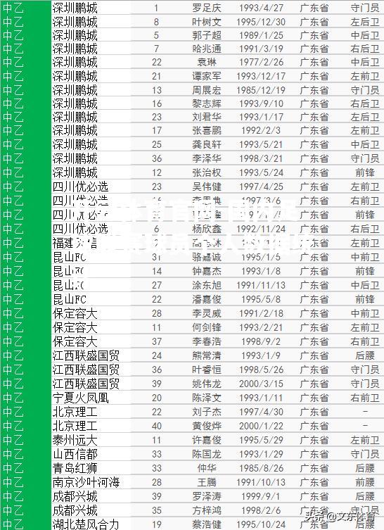 国内足球联赛球员个人数据统计